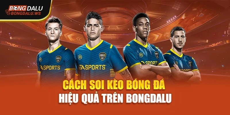 Cách soi kèo bóng đá hiệu quả trên Bongdalu