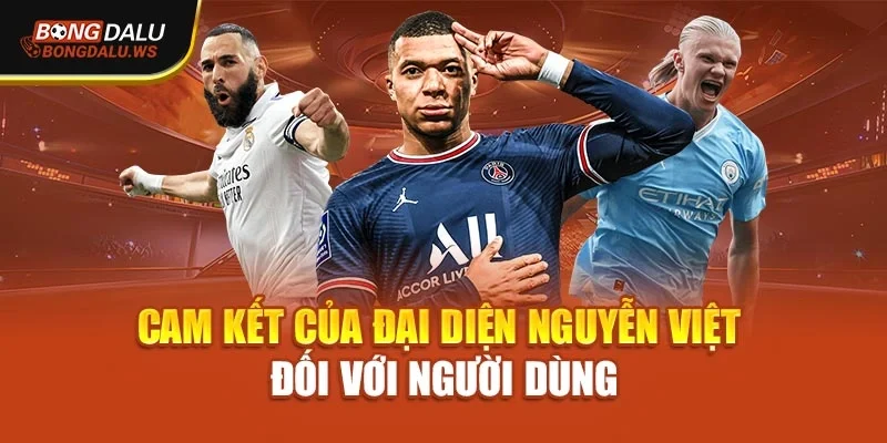 Cam kết của đại diện Nguyễn Việt đối với người dùng