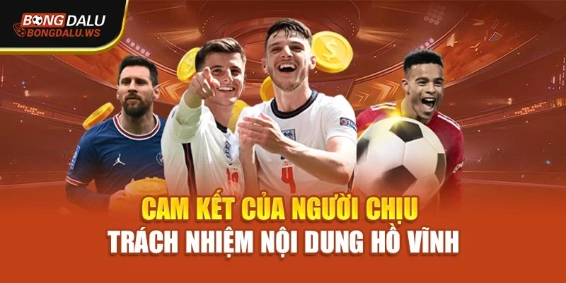 Cam kết của người chịu trách nhiệm nội dung Hồ Vĩnh