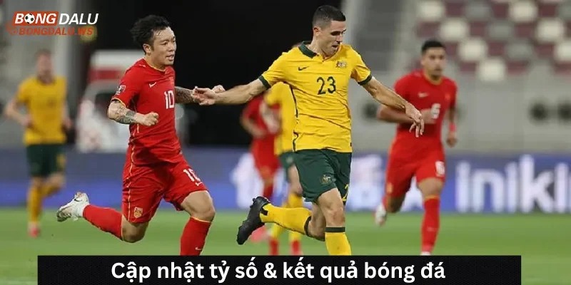 Cập nhật tỷ số & kết quả bóng đá