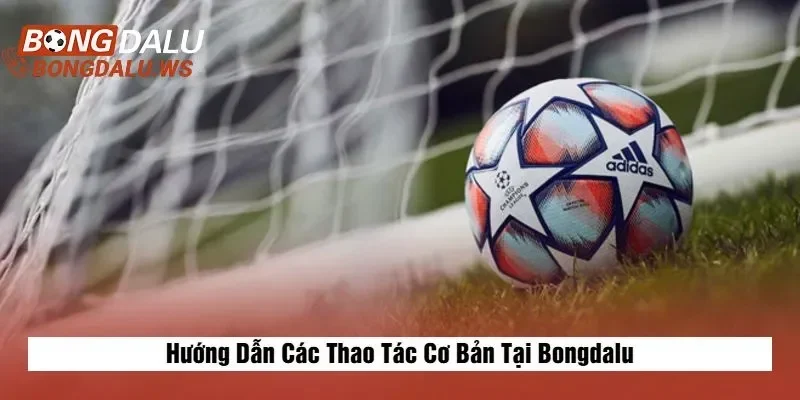 Hướng dẫn thao tác cơ bản tại bongdalu
