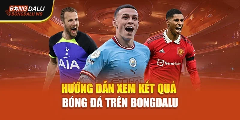 Hướng dẫn xem kết quả bóng đá trên Bongdalu