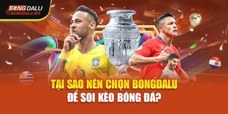 Tại sao nên chọn Bongdalu để soi kèo bóng đá