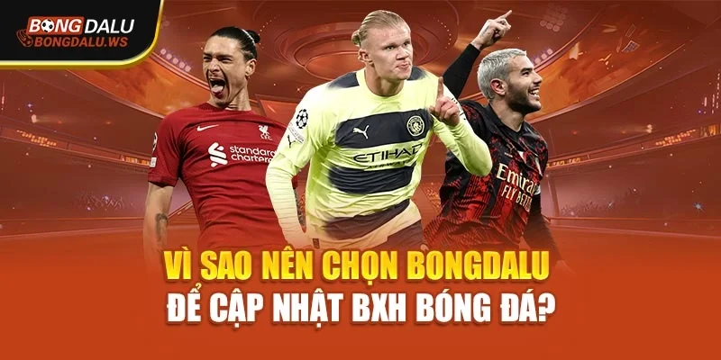 Vì sao nên chọn Bongdalu để cập nhật Bảng xếp hạng bóng đá?