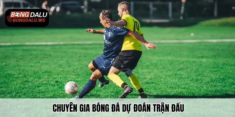 Chuyên gia bóng đá dự đoán trận đấu cập nhật chuẩn xác